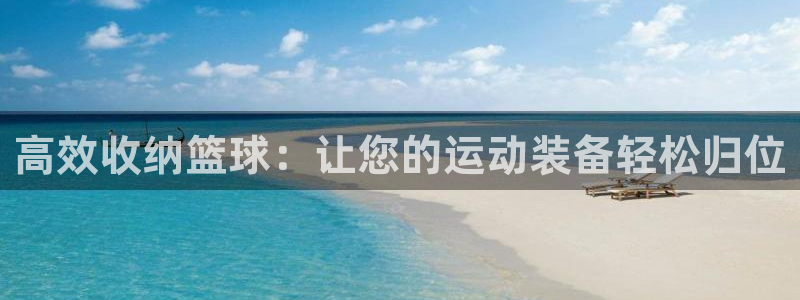 fb体育平台注册流程图：高效收纳篮球：让您的运动装备轻松归位