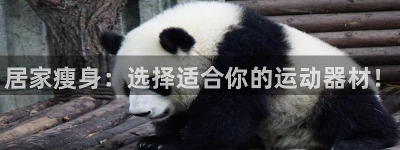 fb体育招商：居家瘦身：选择适合你的运动器材！