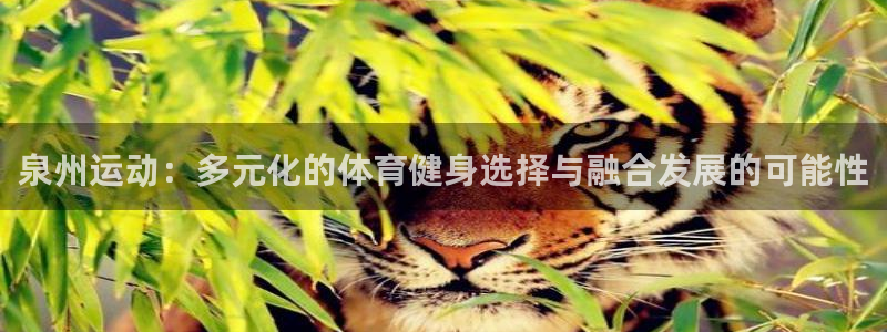 fb体育联系电话：泉州运动：多元化的体育健身选择与融合发展的