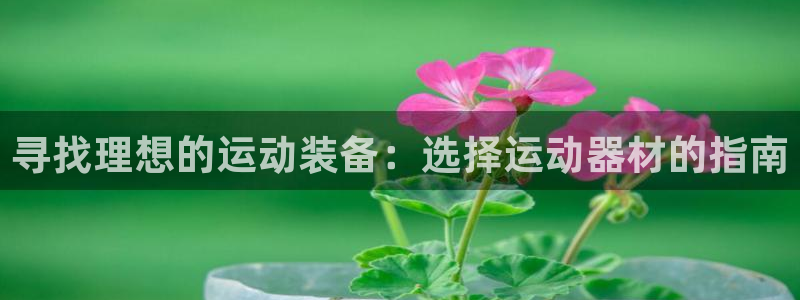 fb体育官方：寻找理想的运动装备：选择运动器材的指南