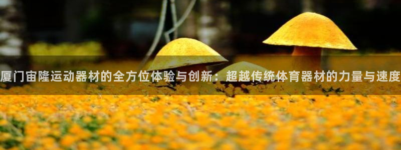 fb体育注册：厦门宙隆运动器材的全方位体验与创新：超