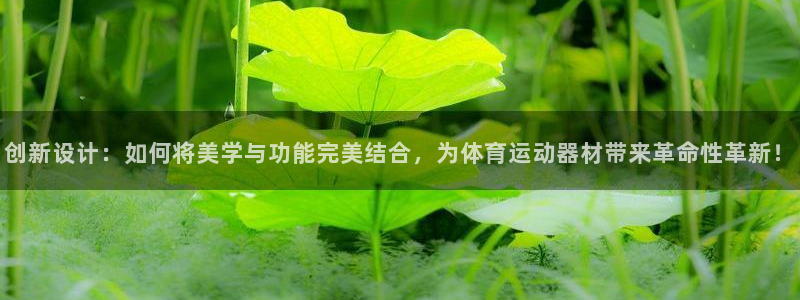 fb体育集团简介：创新设计：如何将美学与功能完美结合，为体育