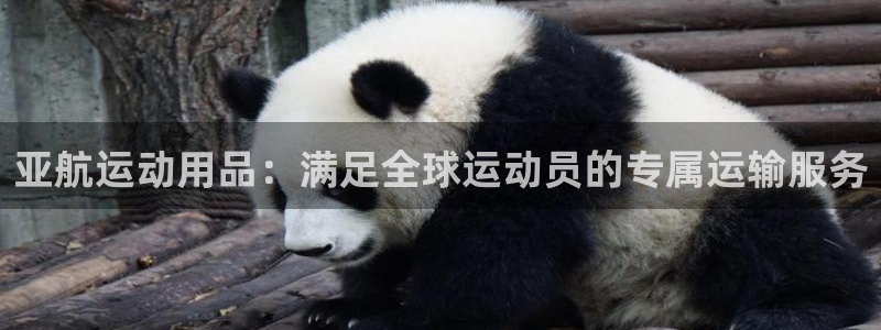 fb体育招商：亚航运动用品：满足全球运动员的专属运输服务