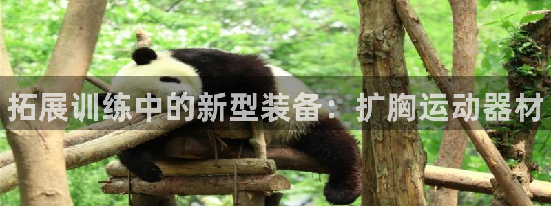 fb体育招商电话号码是多少啊：拓展训练中的新型装备：扩胸运动